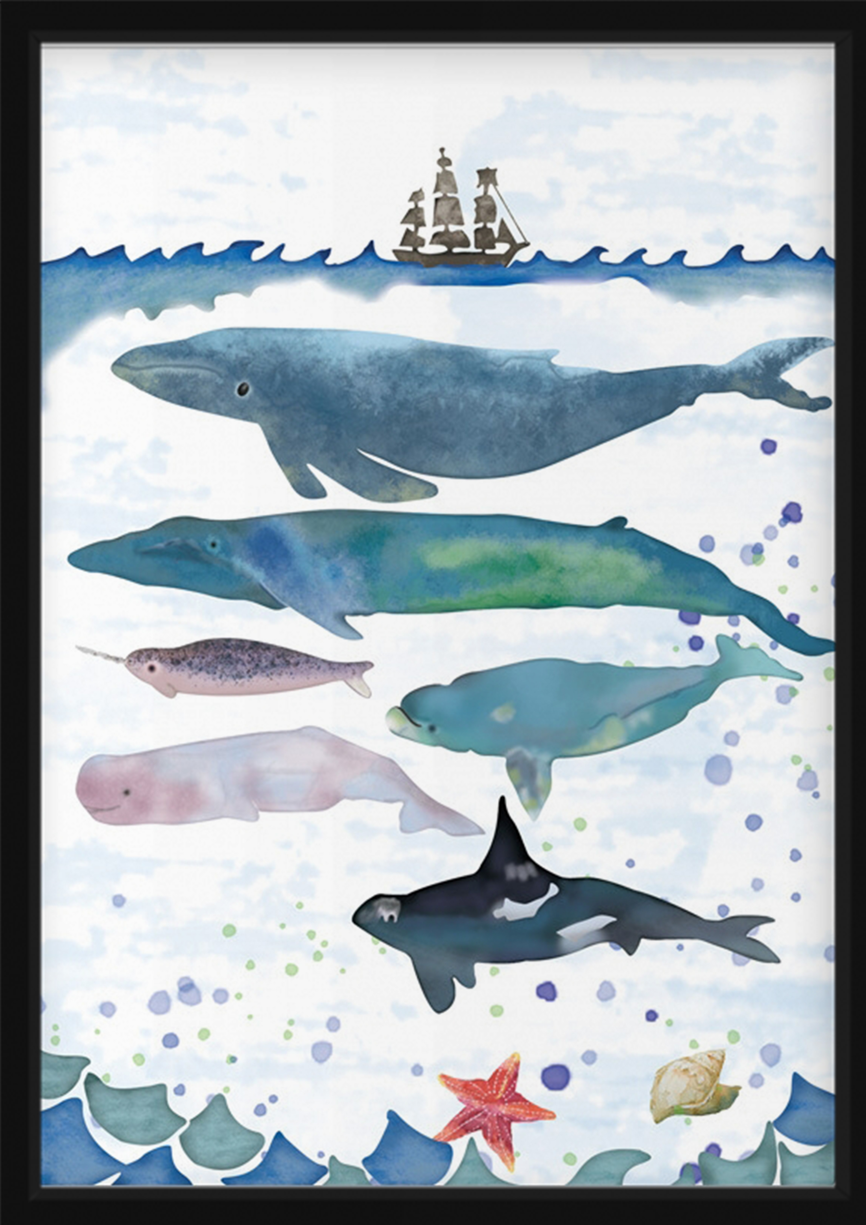 Poster - Whales