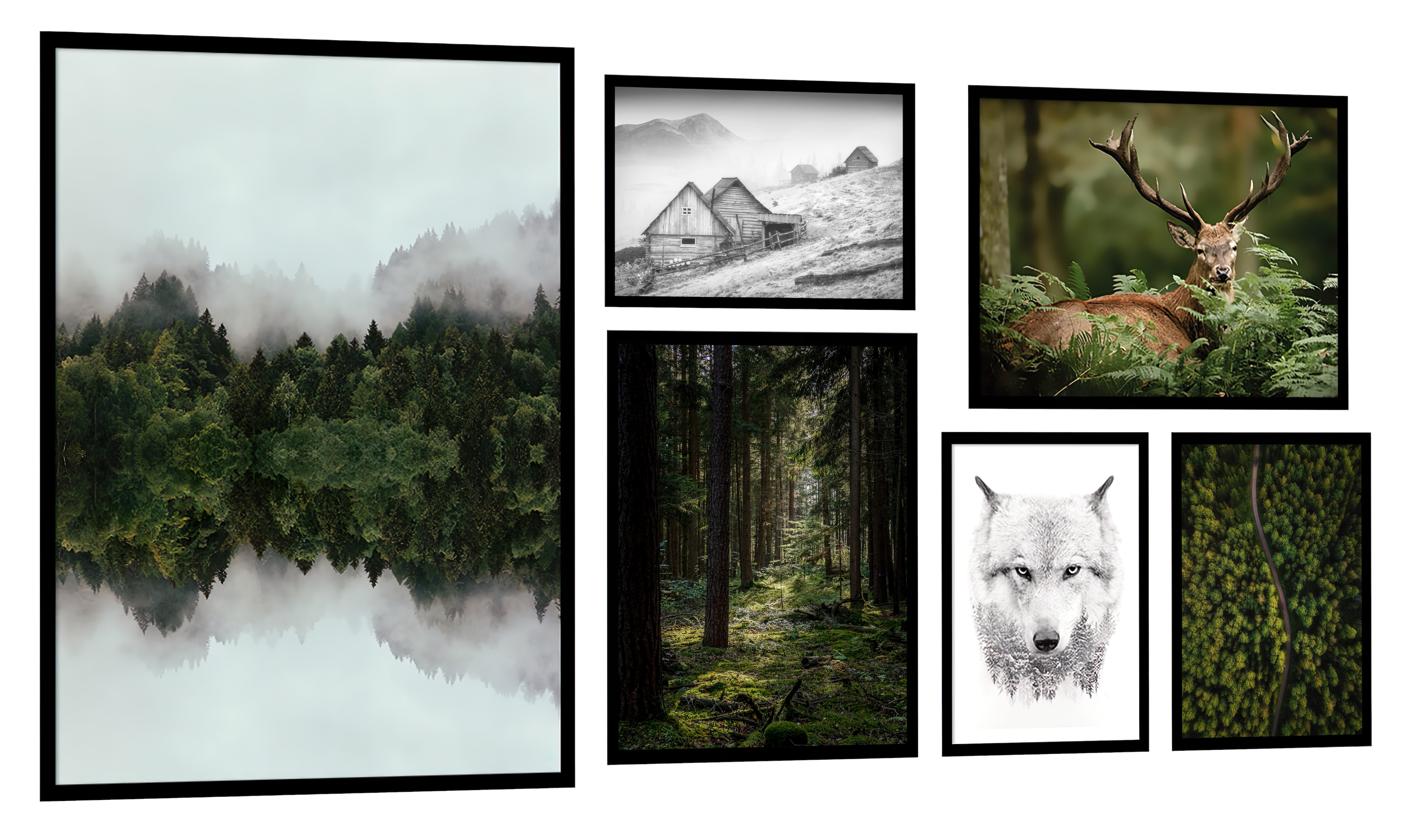 Posters - Forest and Mist / Set of 6