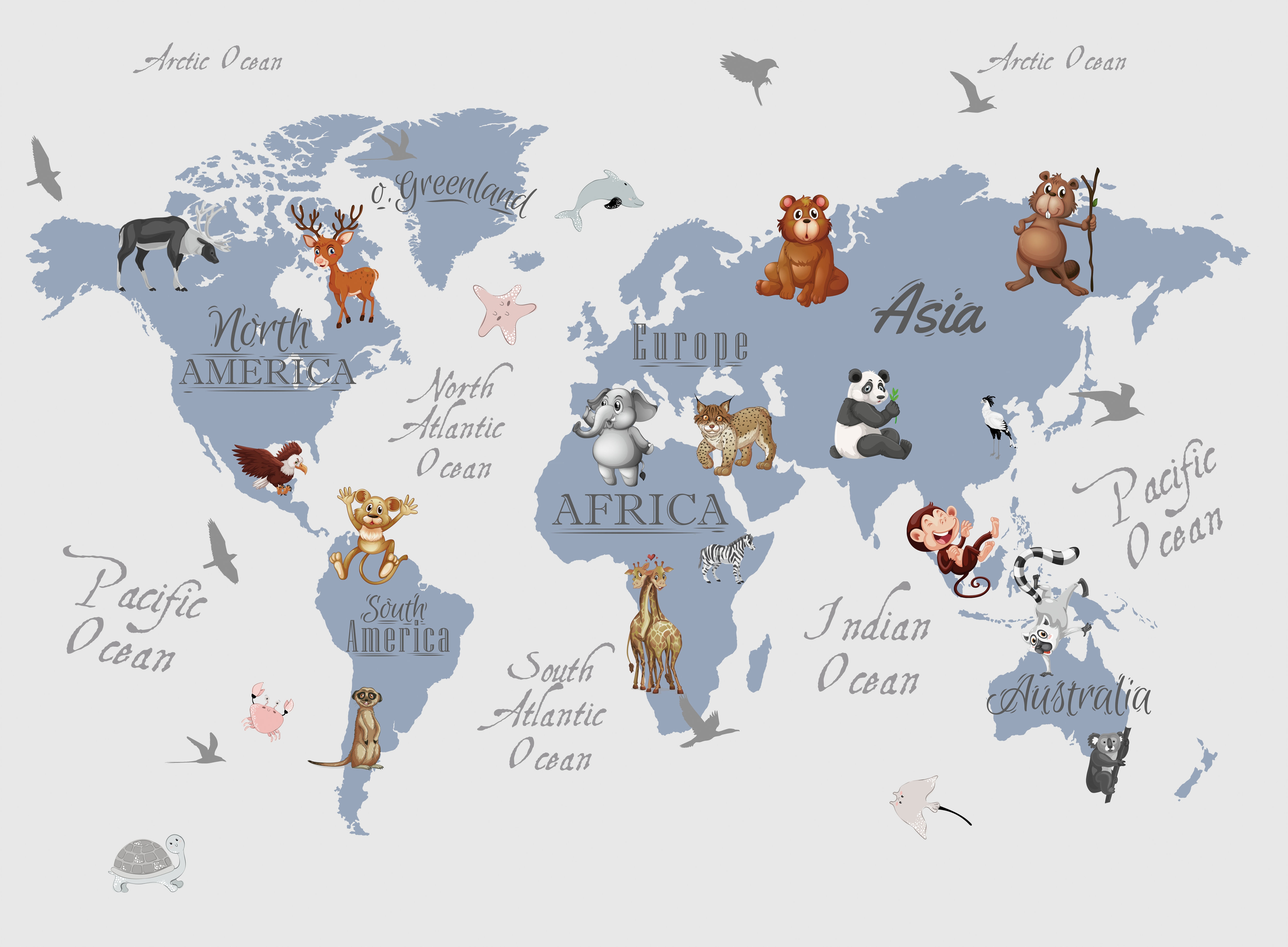 Wallsticker - World Map /  Birds and Animals