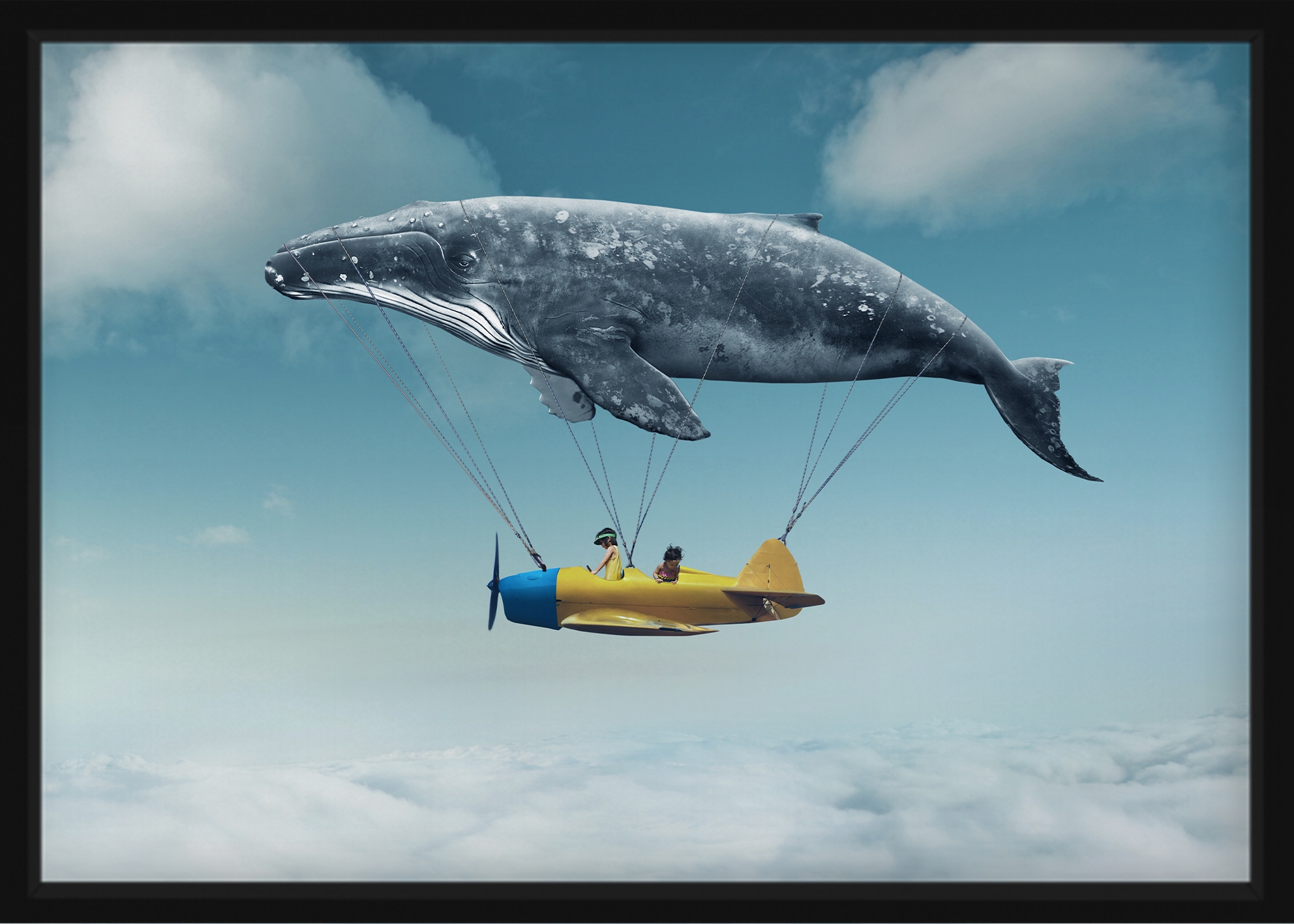 AFFISCH - Whale's Flying Machine