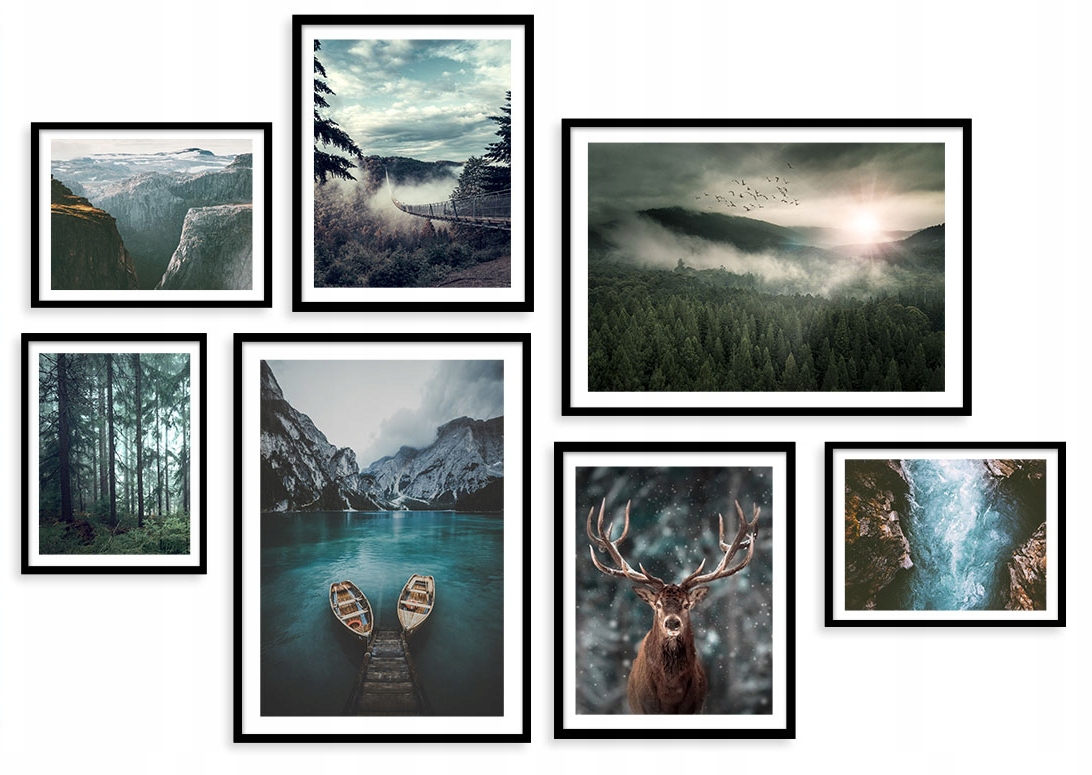Posters - Forest / Set of 7