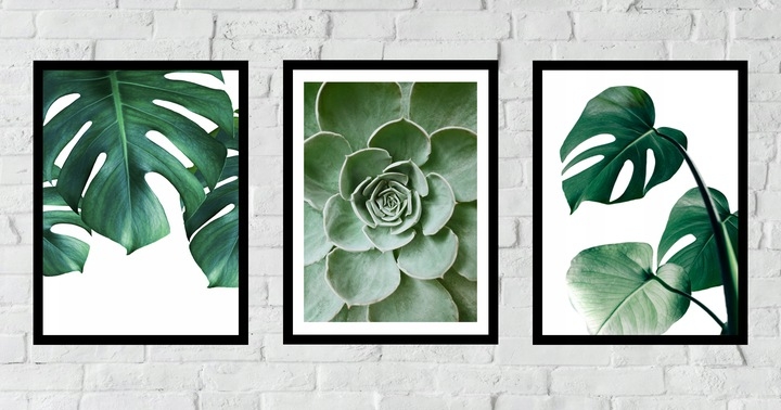 Posters - Cactus and Monstera / Set of 3