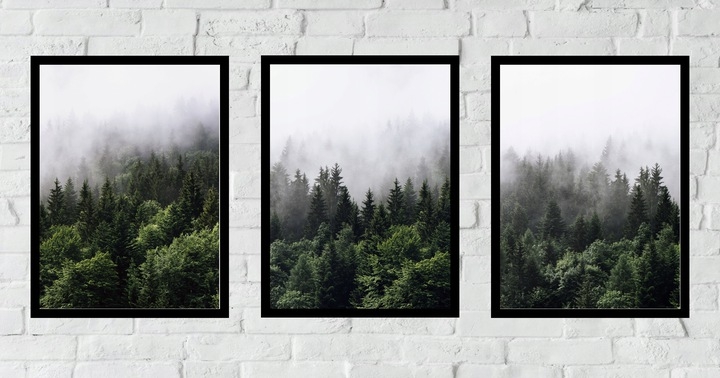 Posters - Forest in the Mist / Set of 3