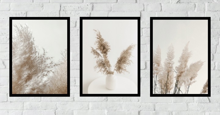 Posters - Dry Pampas / Set of 3