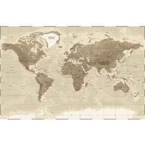 Poster - World Map /   Brown