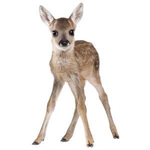 Wallsticker -   Lucy My Deer