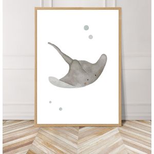 Poster - Sea animal /  Ray