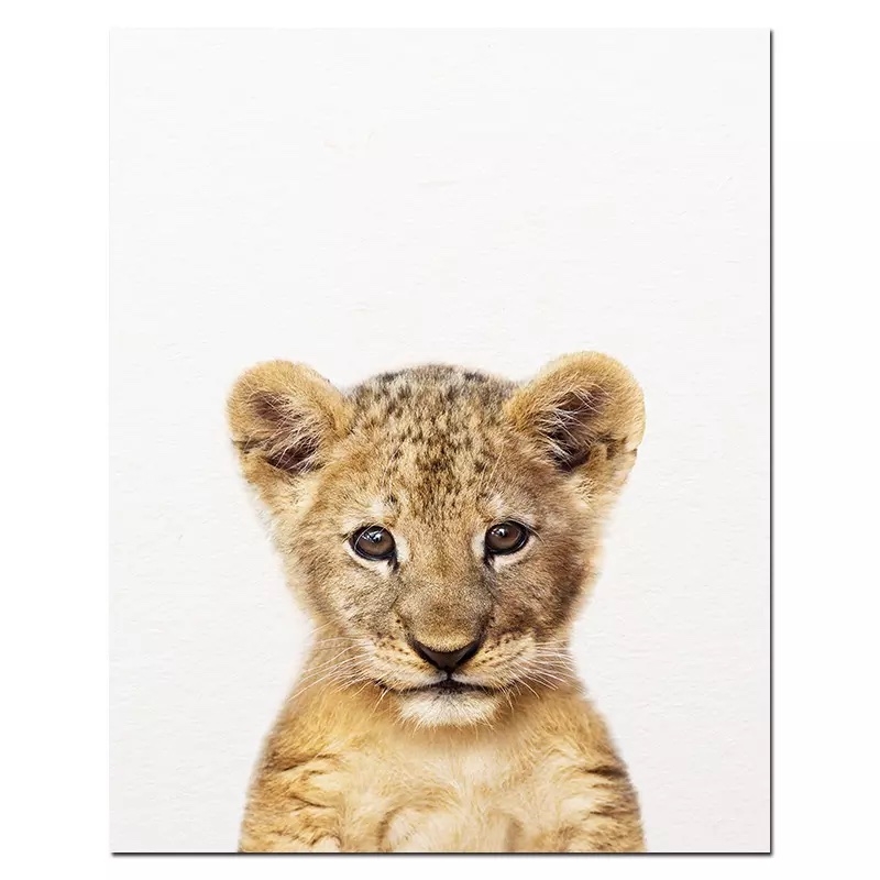 Poster - Lion