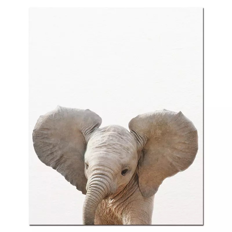 Poster - Elephant