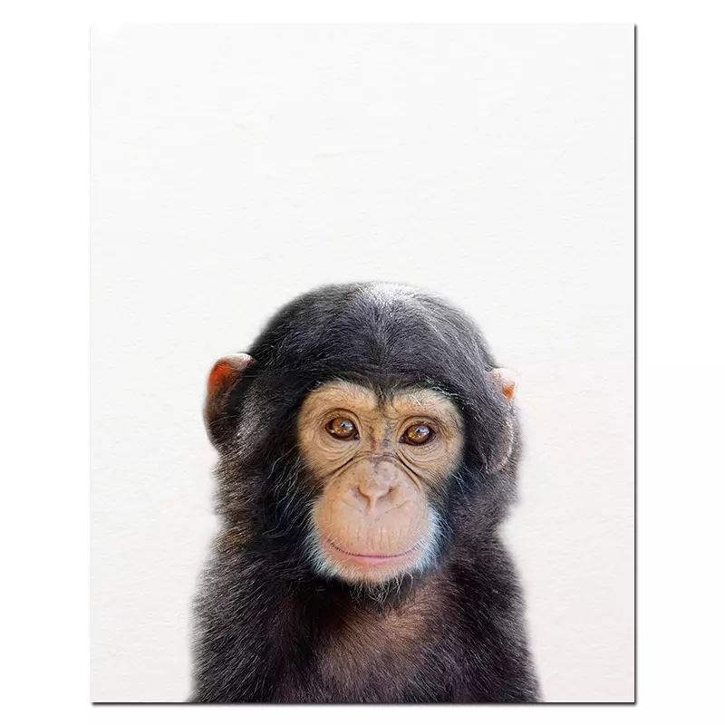 Poster - Monkey