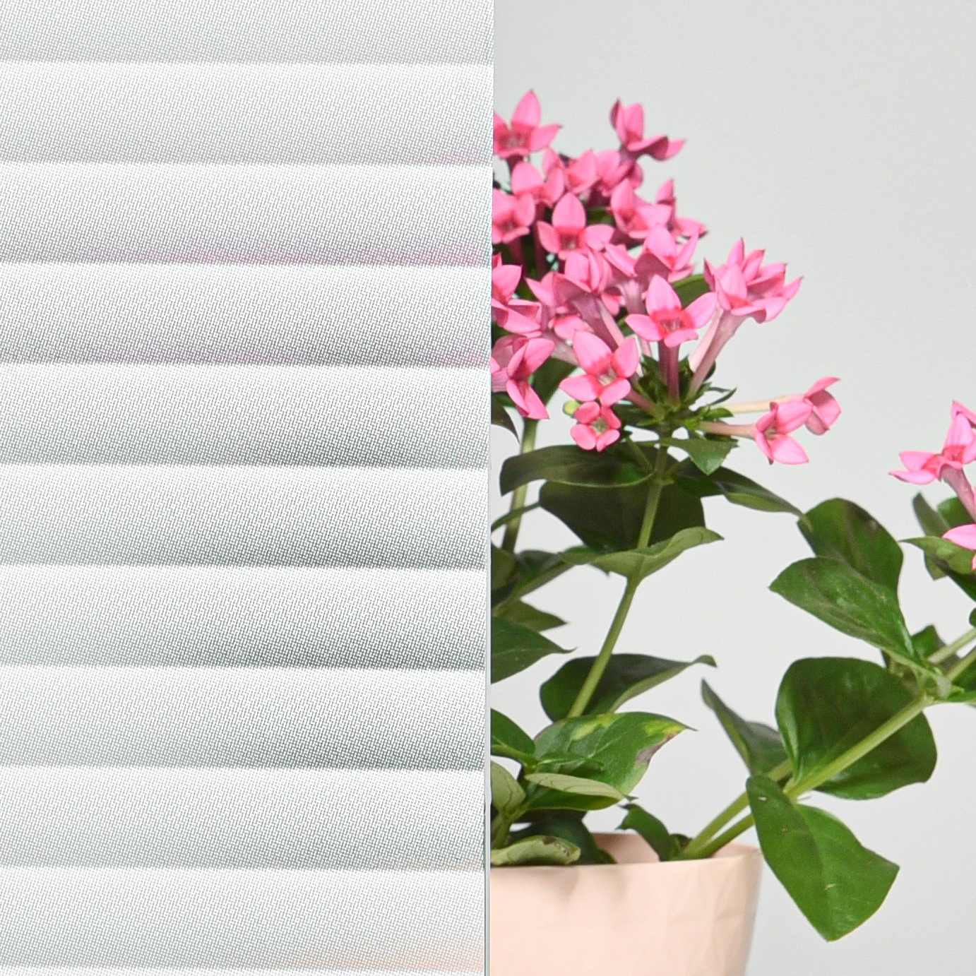 Static Window Film / Pattern #4  / 90 x 150 cm