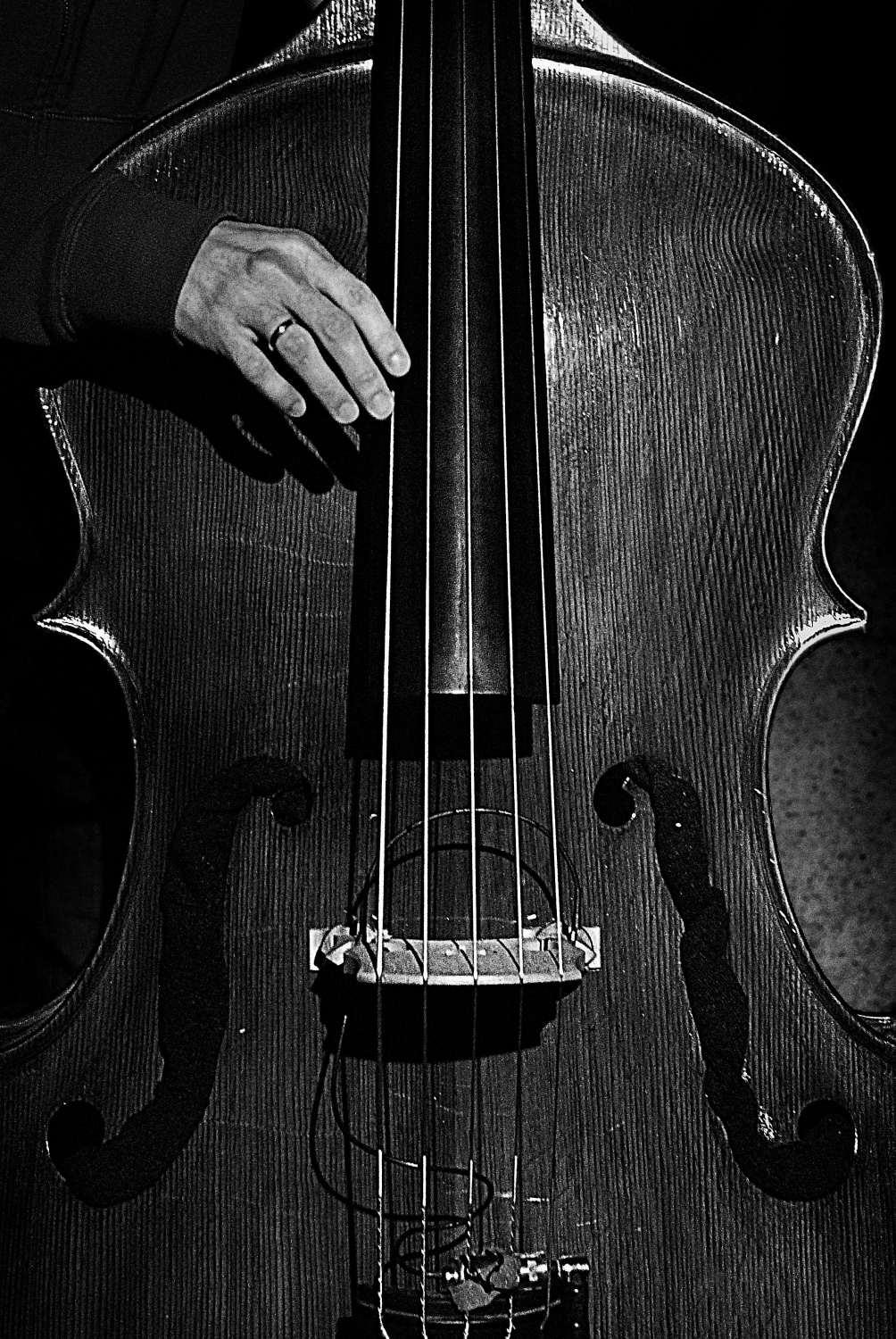 Poster - Cello in Black and White