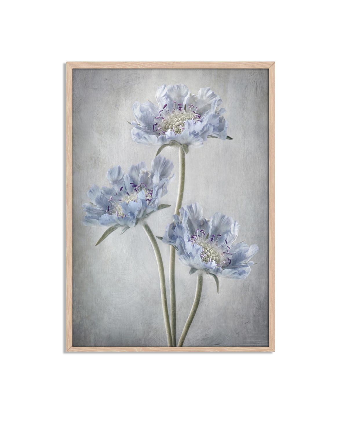 Blue Flowers Poster