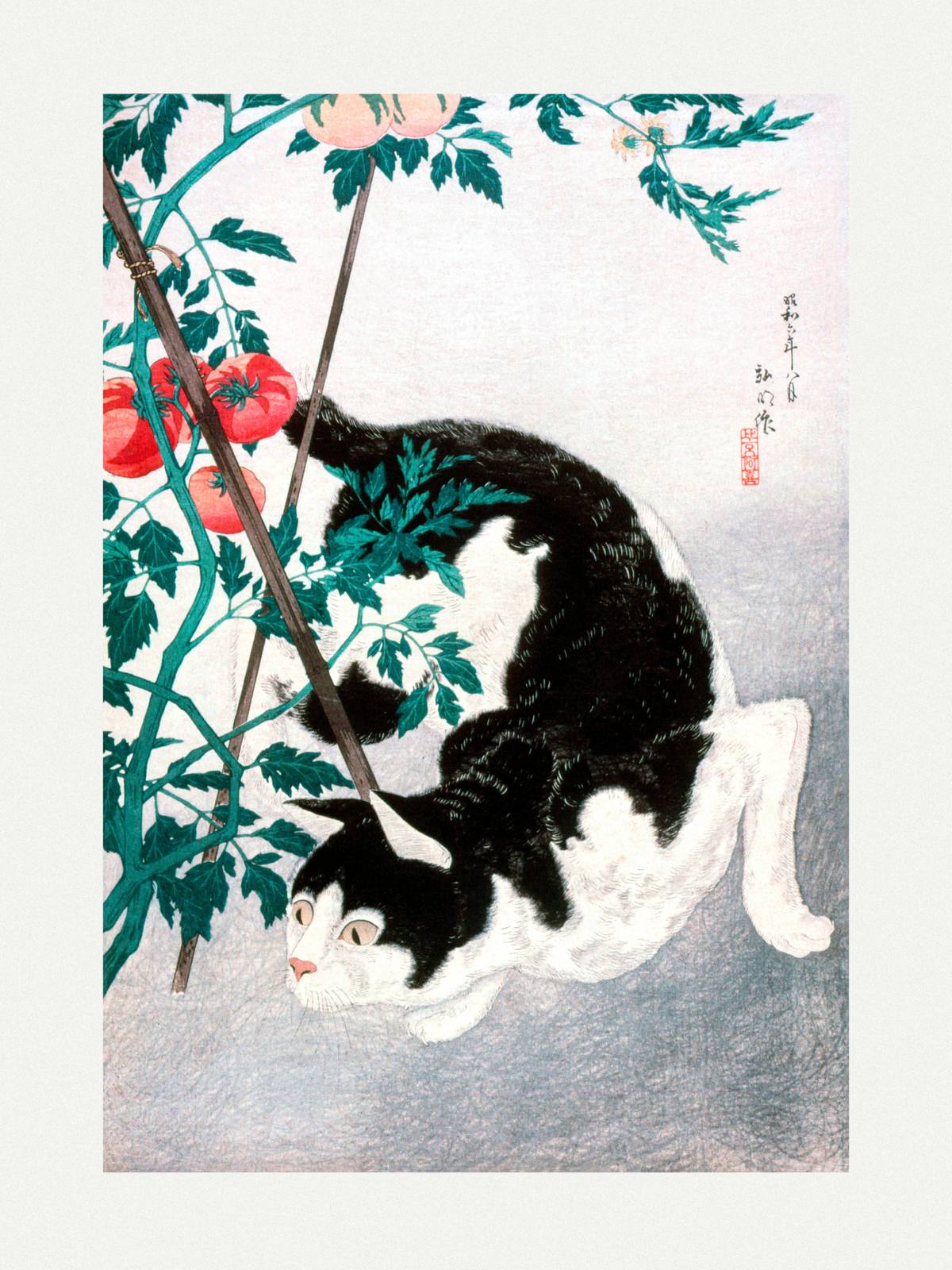 Poster - Cat and Tomatoes