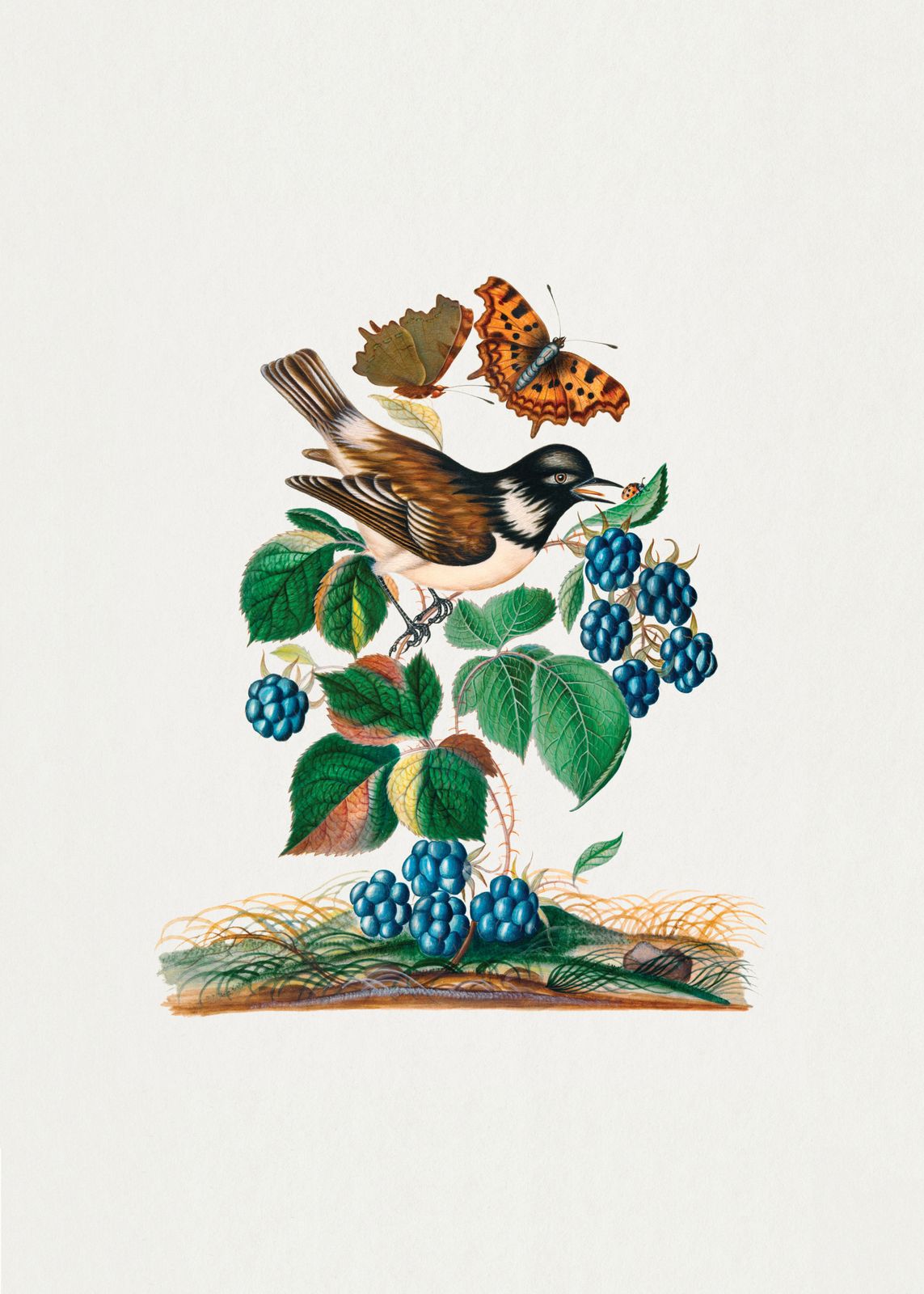 Poster - Bird with Berries
