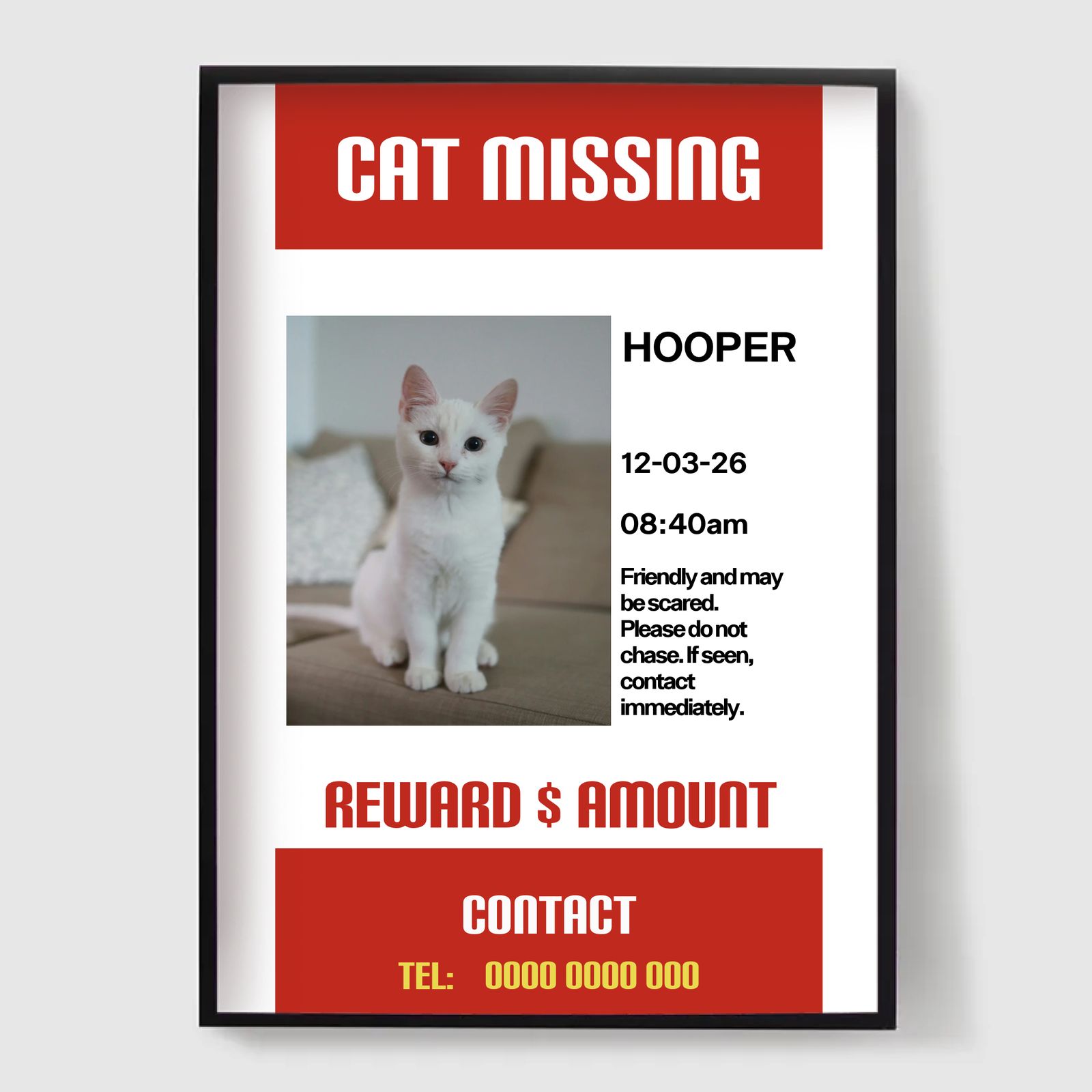 Personalised Poster - Missing Cat Poster