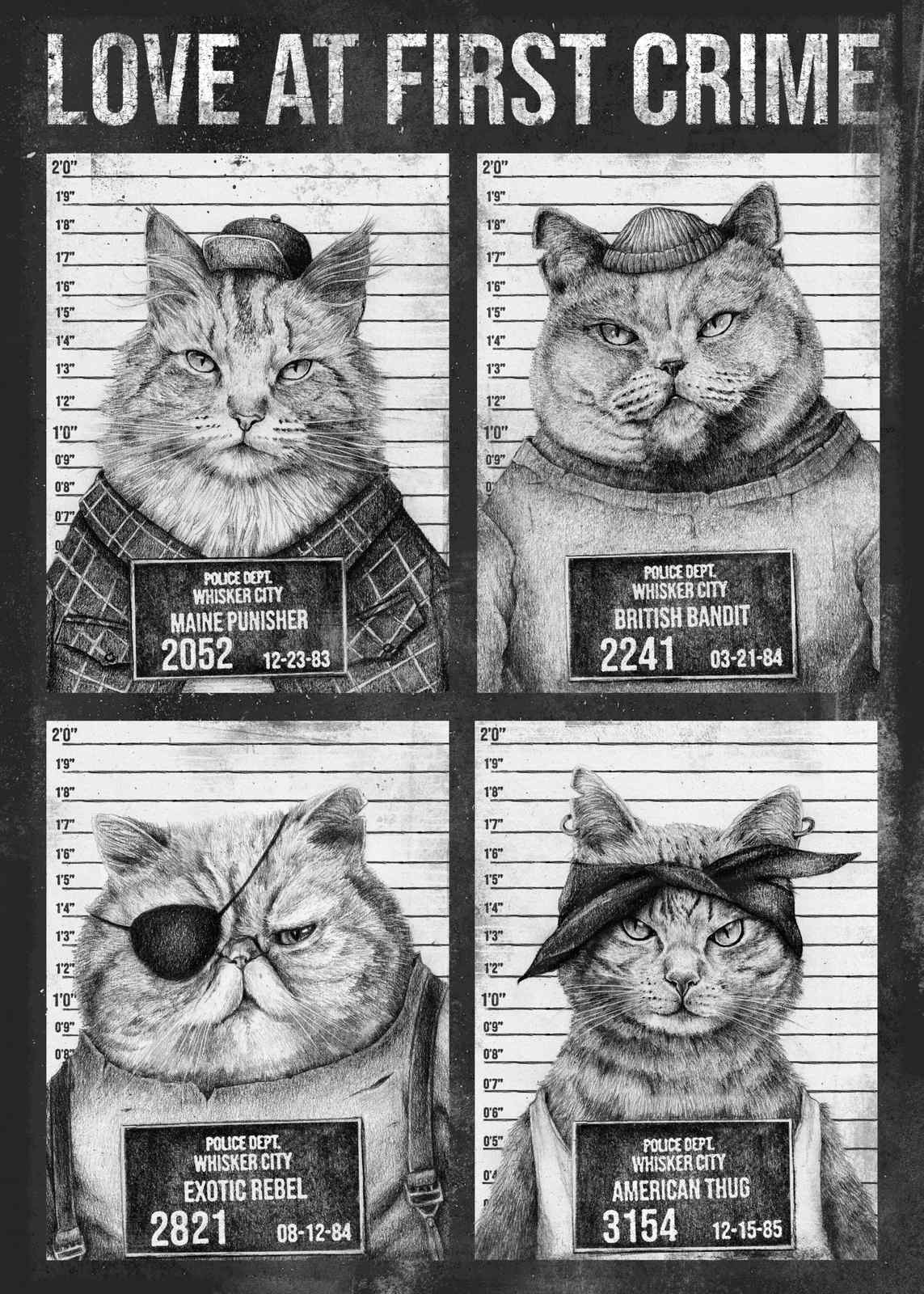 Poster - Love at First Crime
