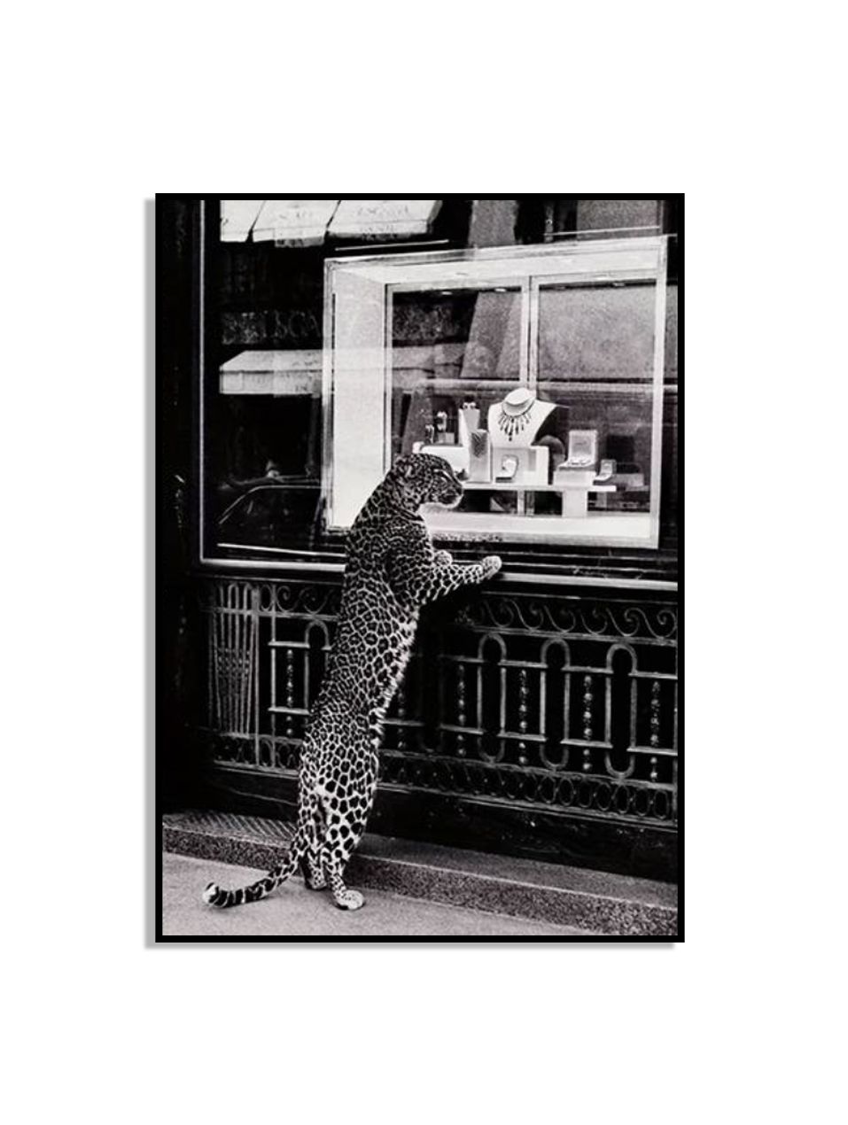Leopard Window Shopping Poster