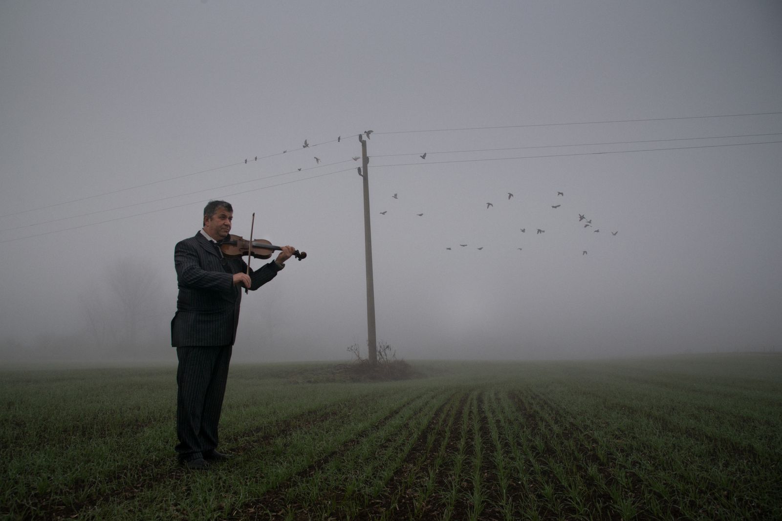 Poster - Violinist in Mist