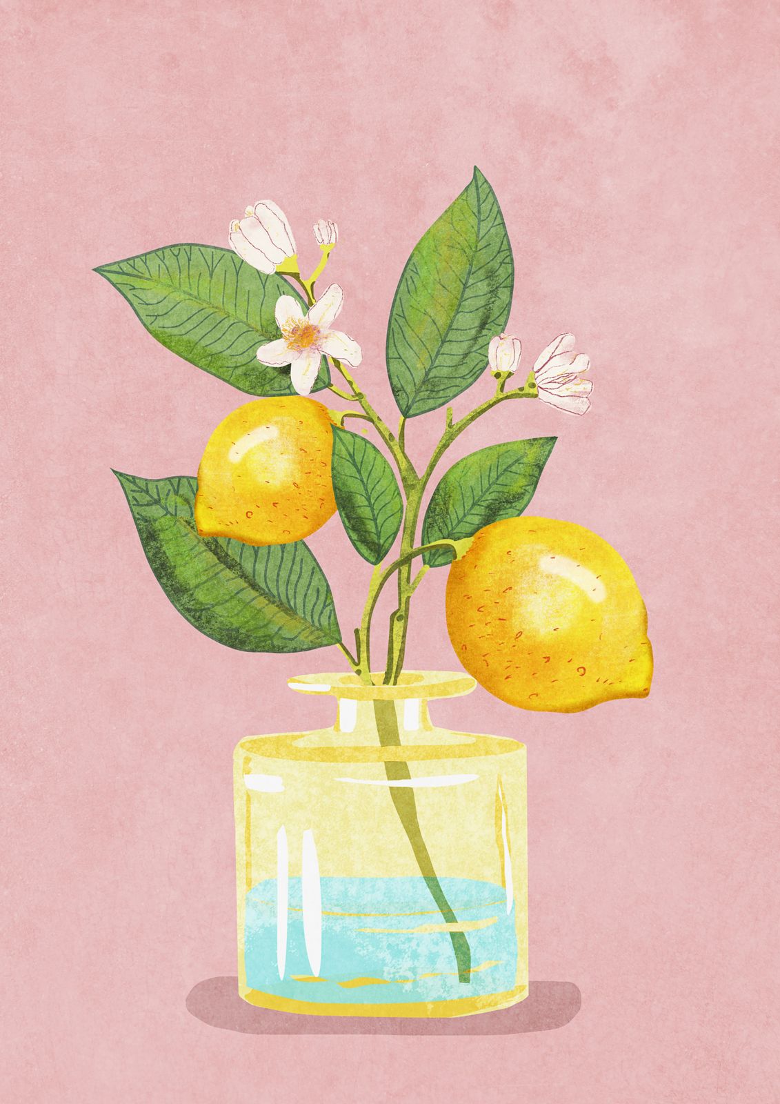 Poster - Lemon Still Life