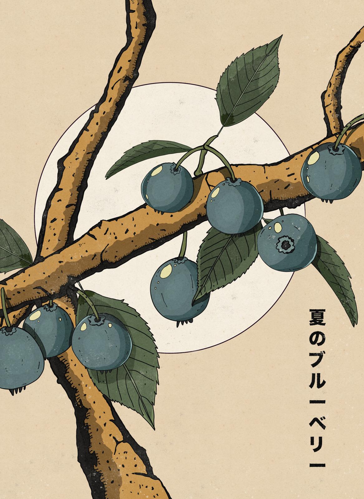 Poster - Blueberry Branch