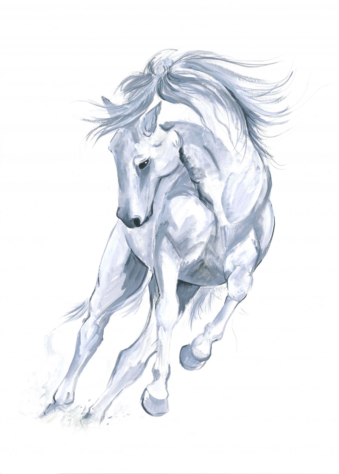 Poster - White Horse Illustration