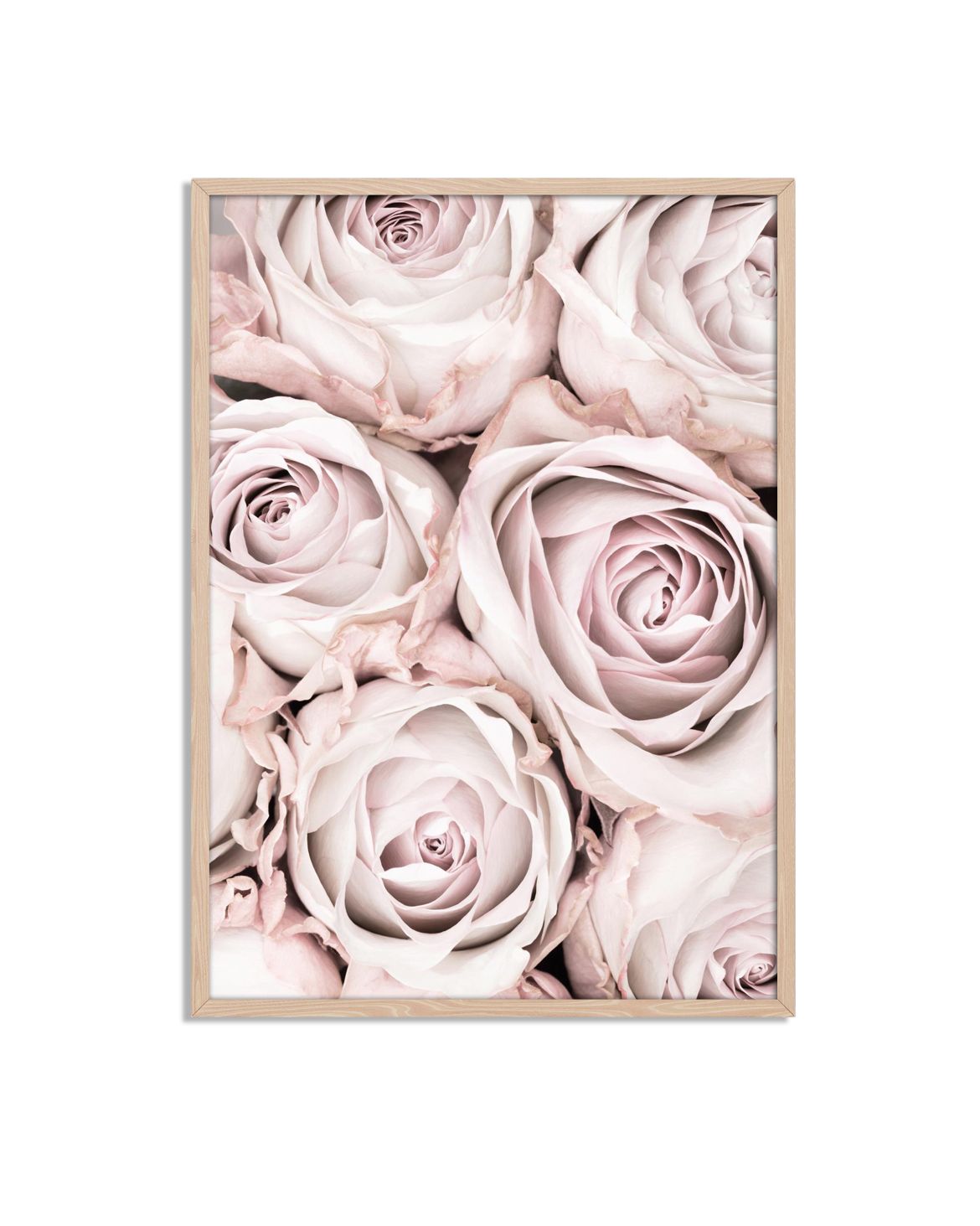 Pastel Rose Floral Poster