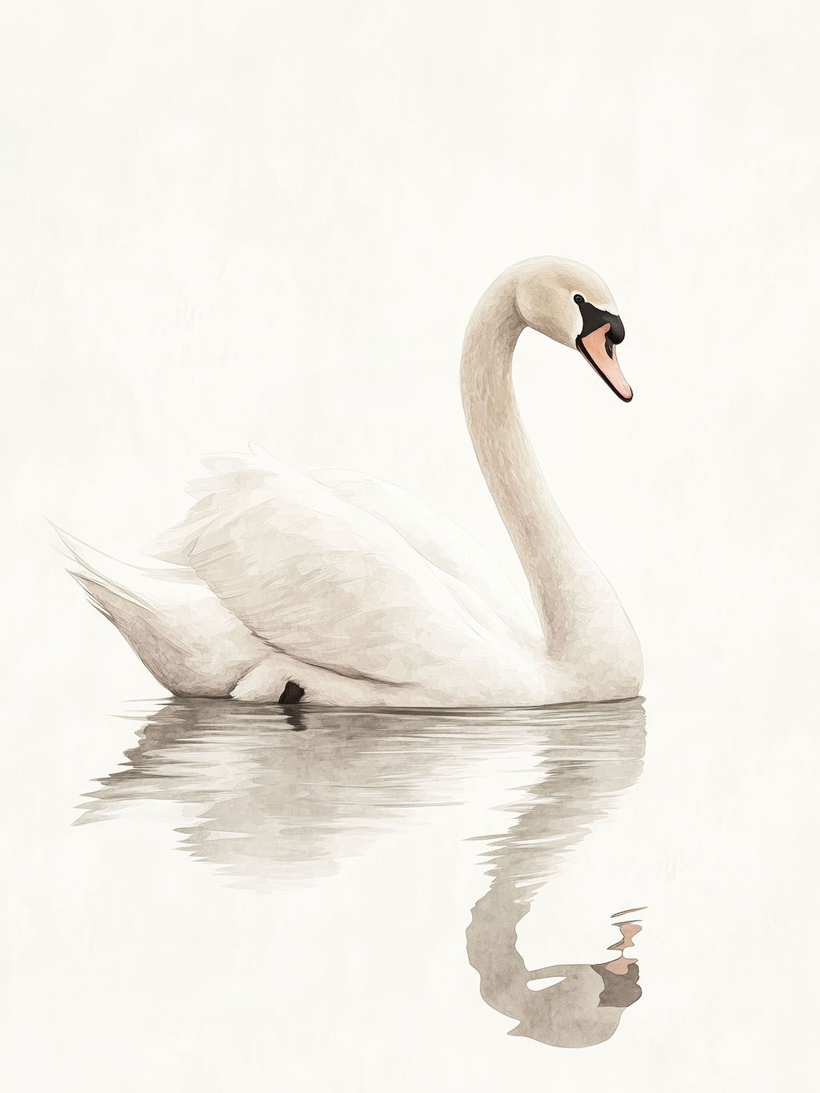 Poster - Elegant Swan