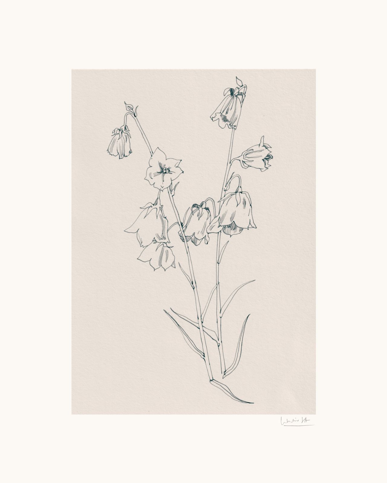 Poster - Botanical Sketch
