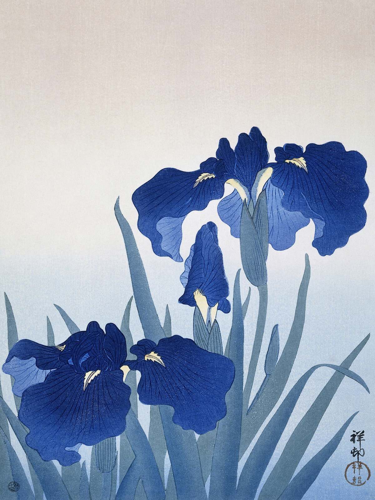 Poster - Japanese Blue Irises