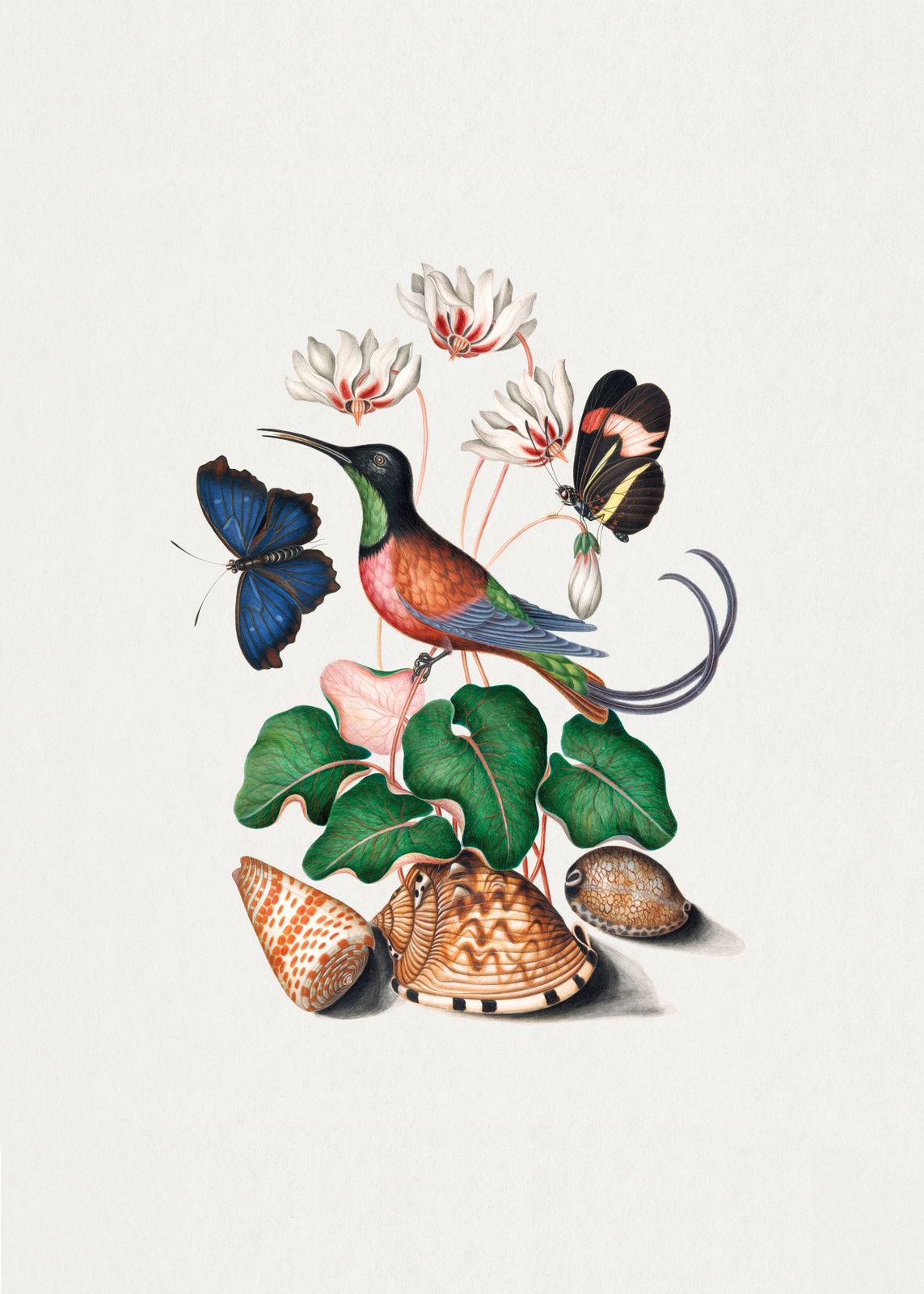 Poster - Bird and Butterfly Illustration