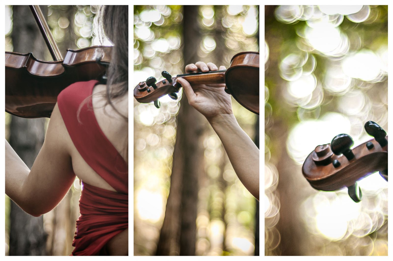 Poster - Violin Melody / Set of 3