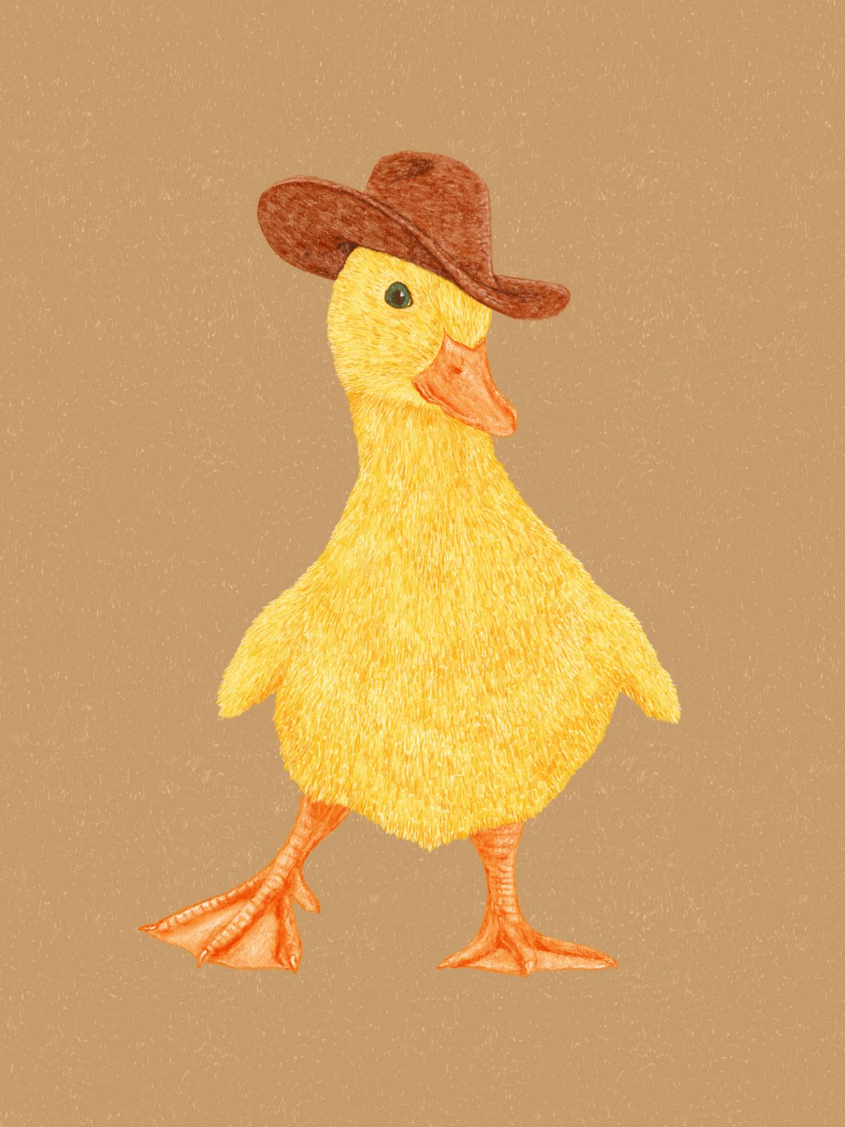 Poster - Duck with Cowboy Hat