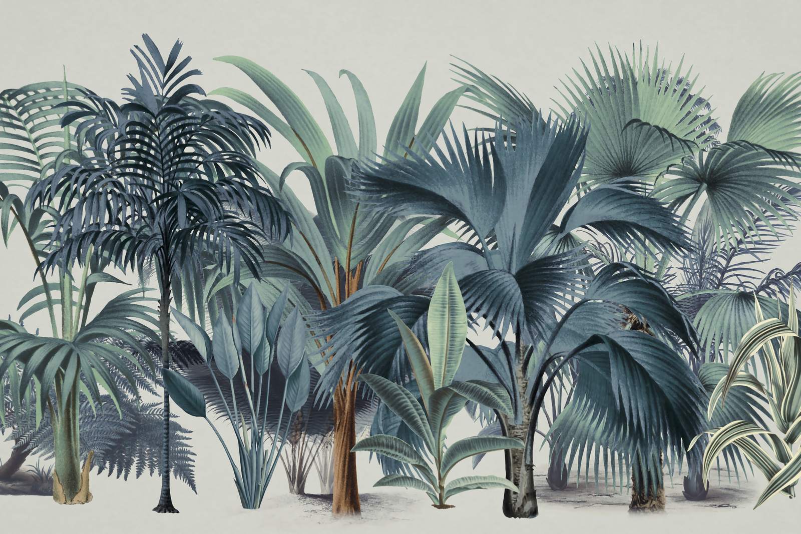 Poster - Tropical Forest