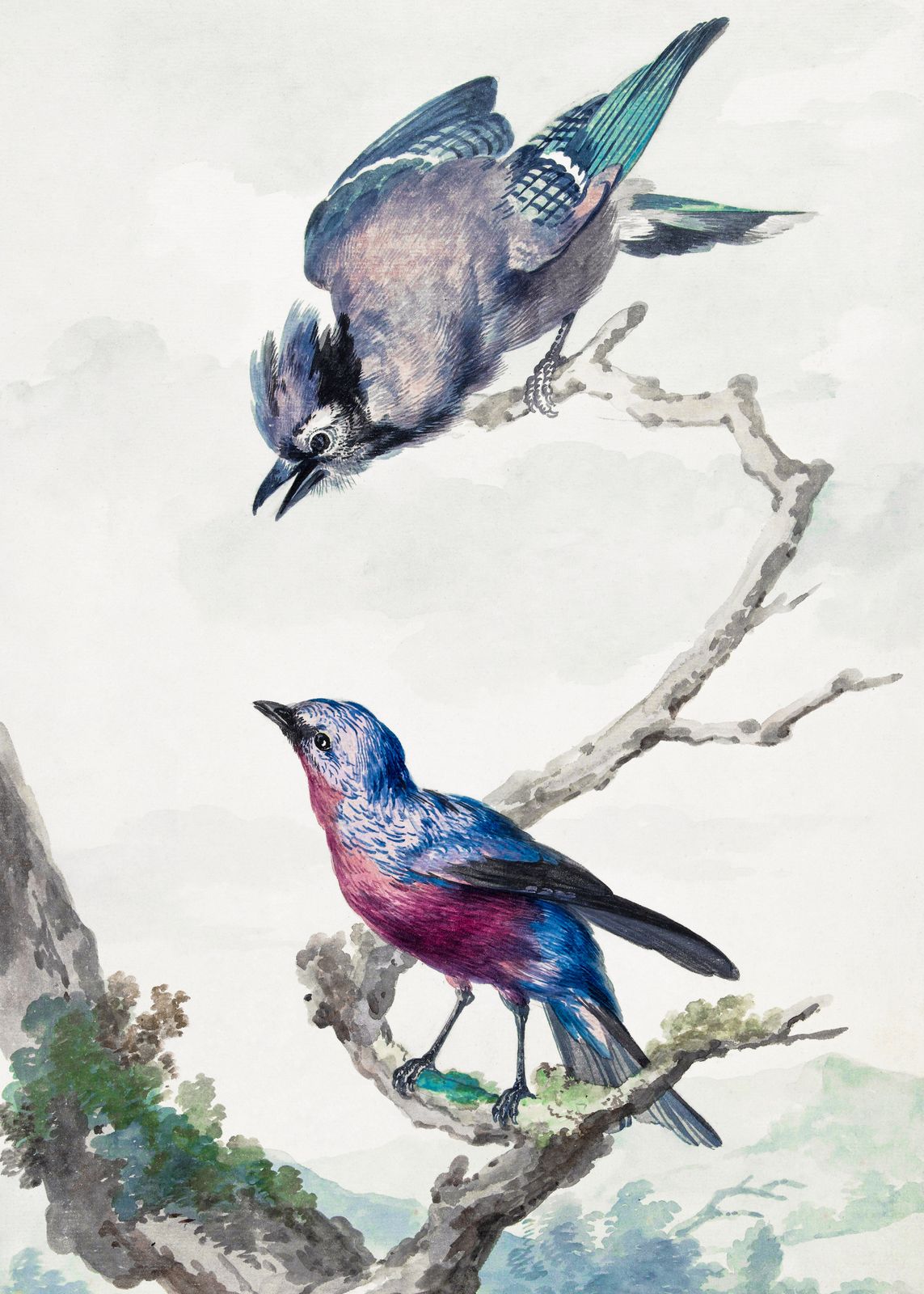 Poster - Birds on Branch
