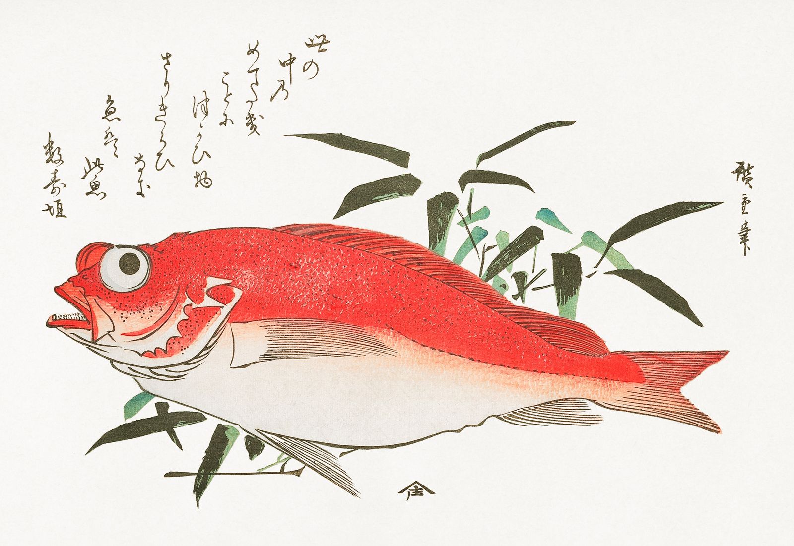 Poster - Japanese Fish Art