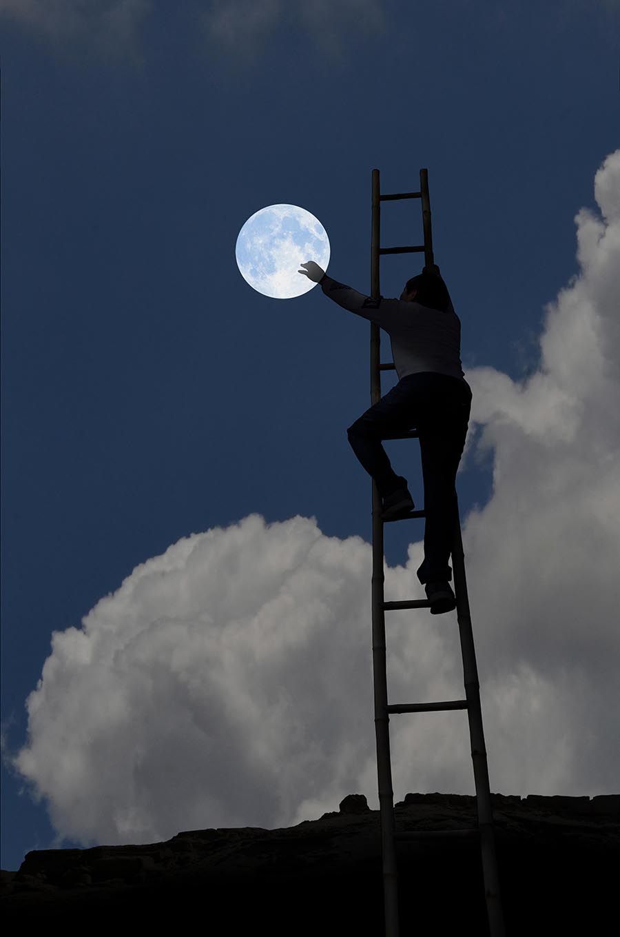 Poster - Reach for the Moon