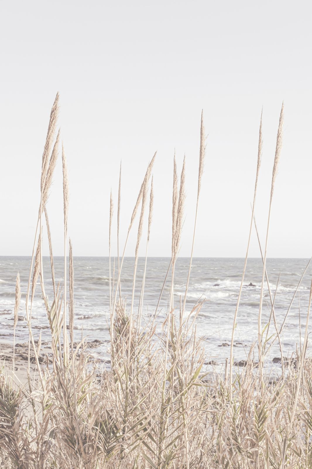 Poster - Coastal Calm