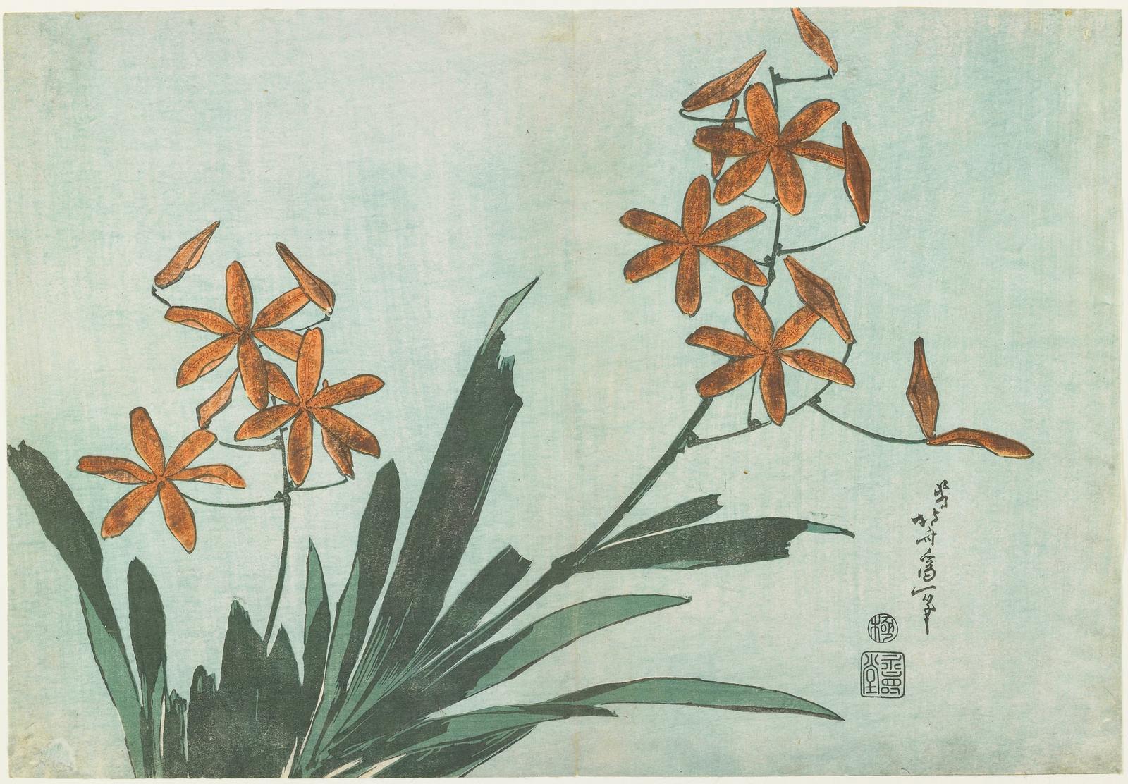 Poster - Floral Artwork