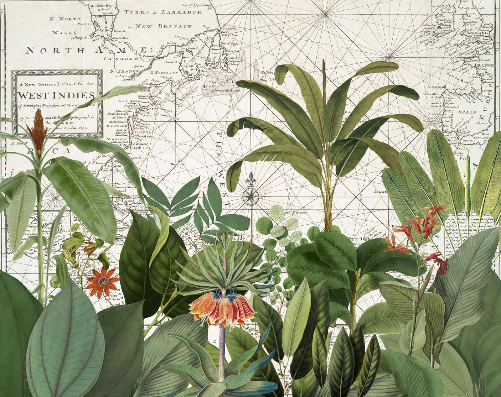 Poster - Vintage Botanical Map