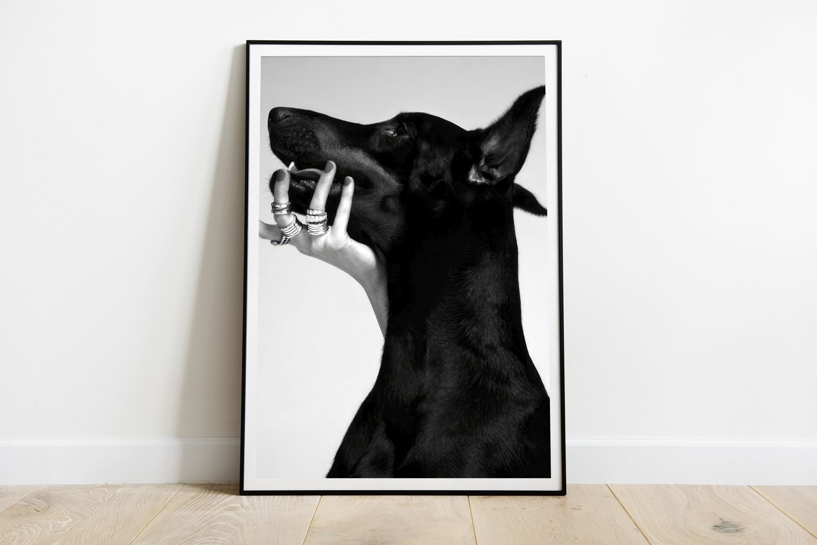 Poster - Black Dog Portrait