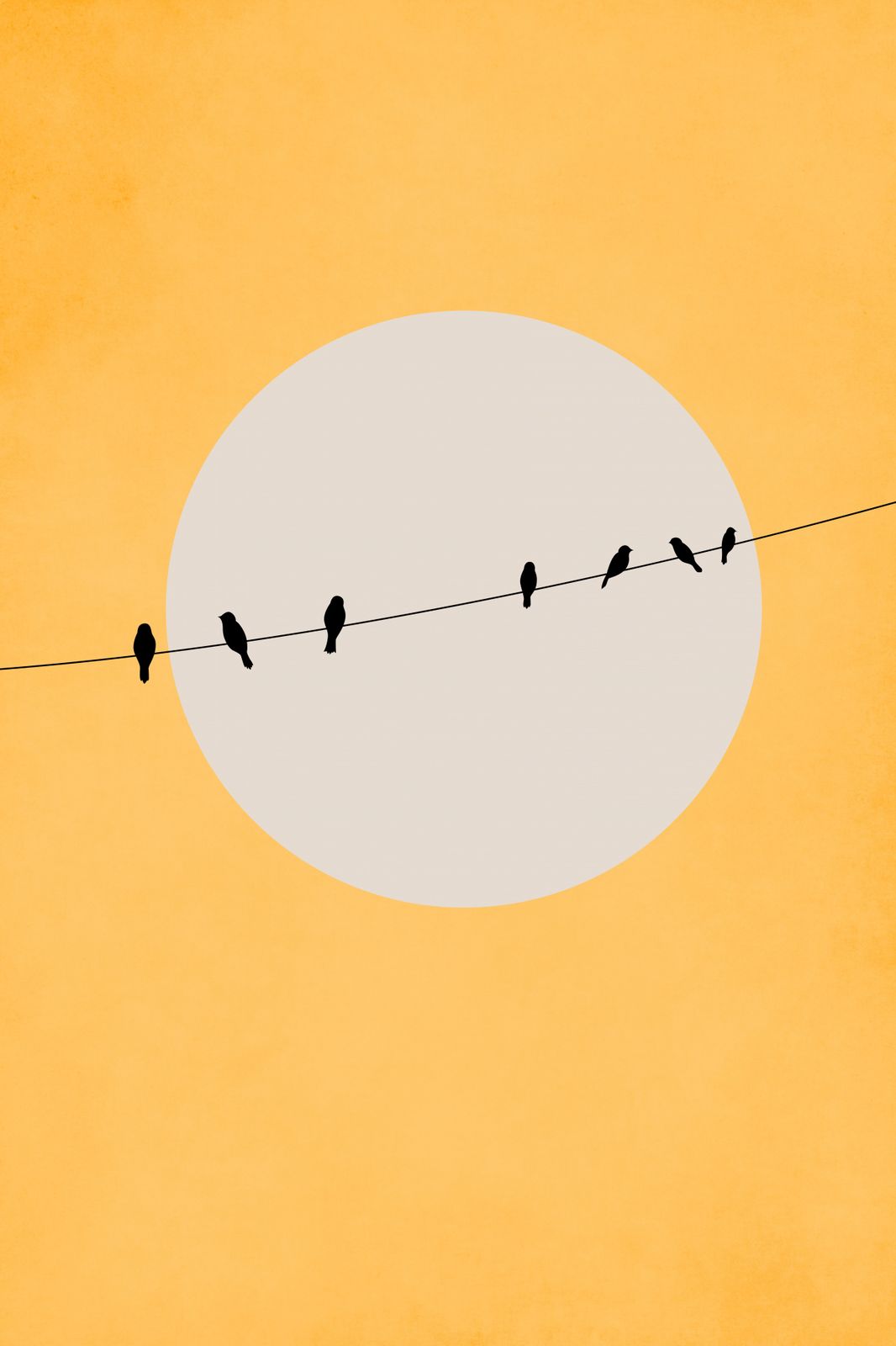 Poster - Birds on Wire
