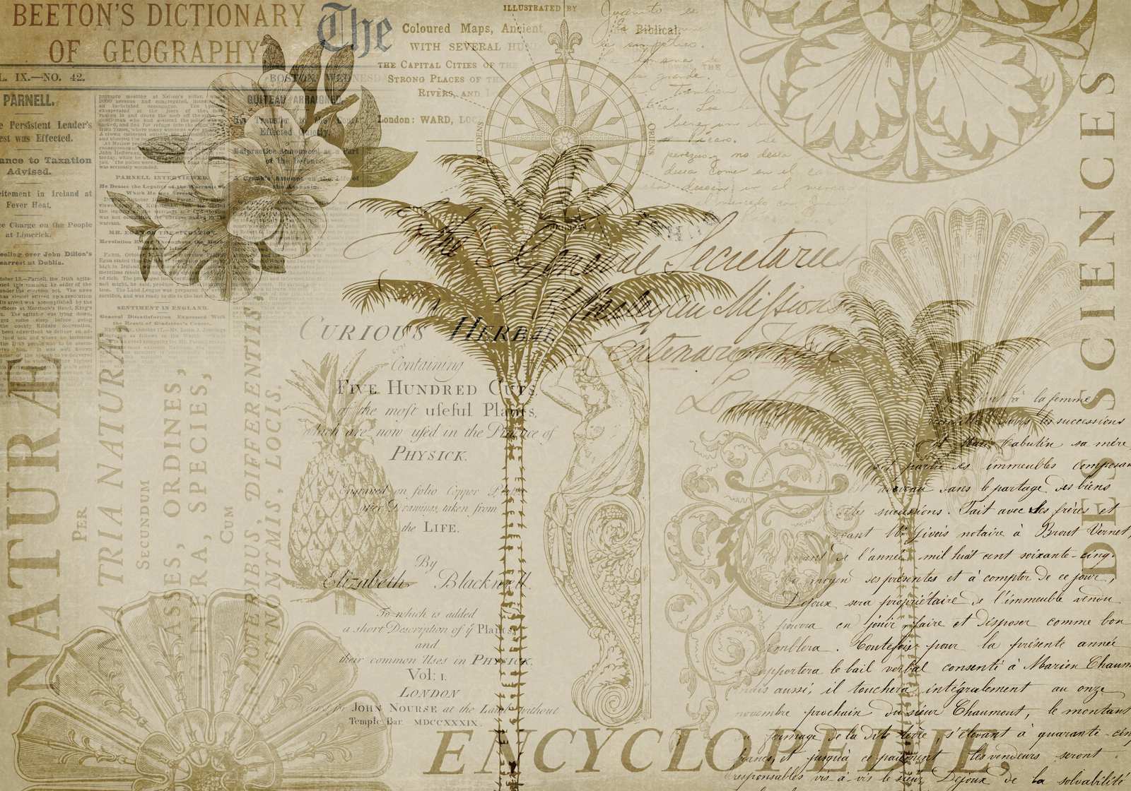 Poster - Encyclopedia Nature