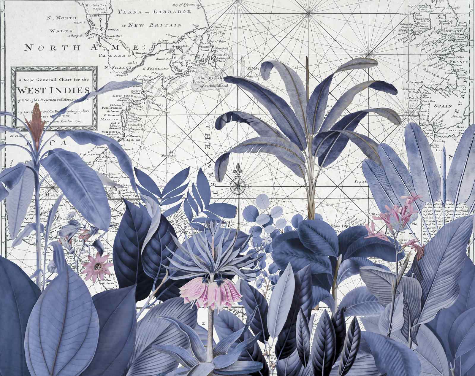 Poster - Floral Map