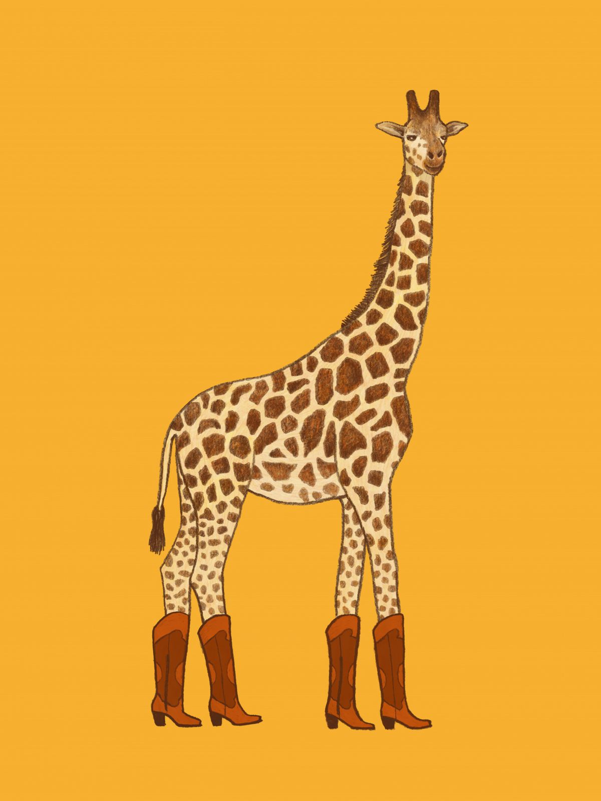 Poster - Giraffe with Boots