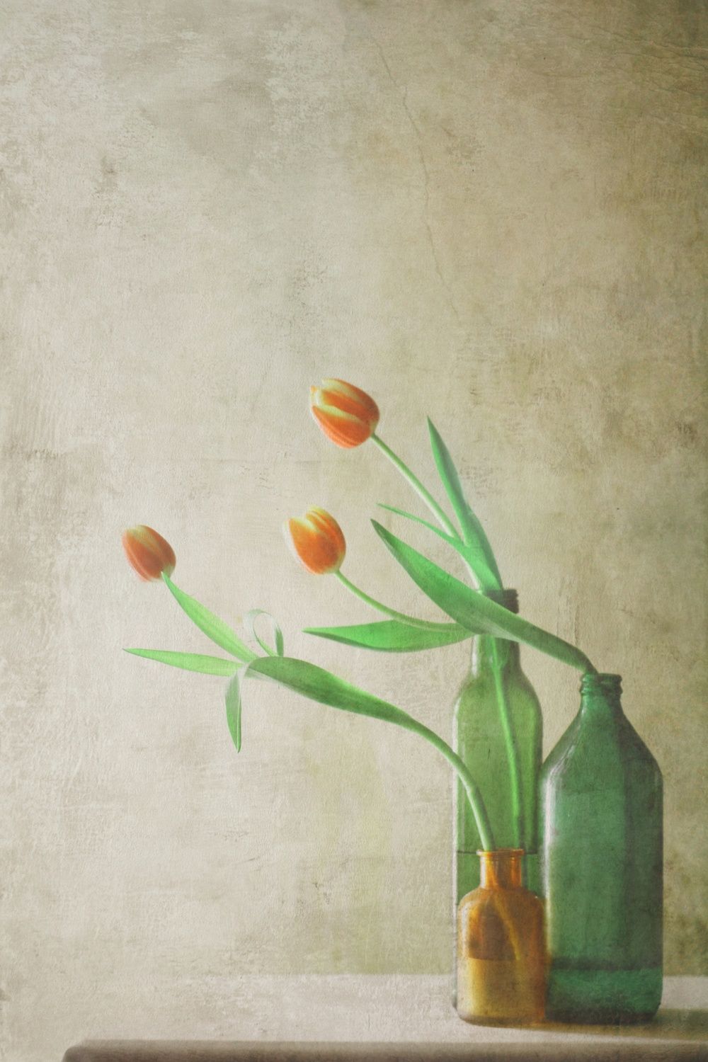 Poster - Tulips in Glass Vase