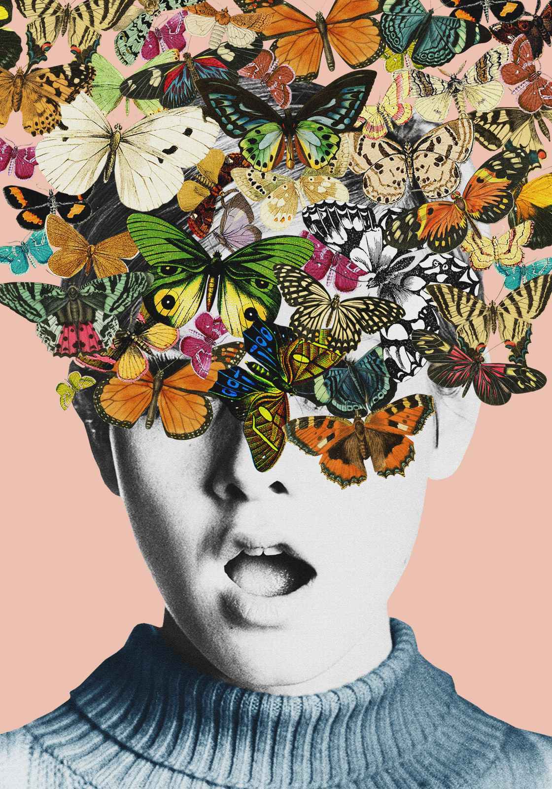 Poster - Butterfly Artwork