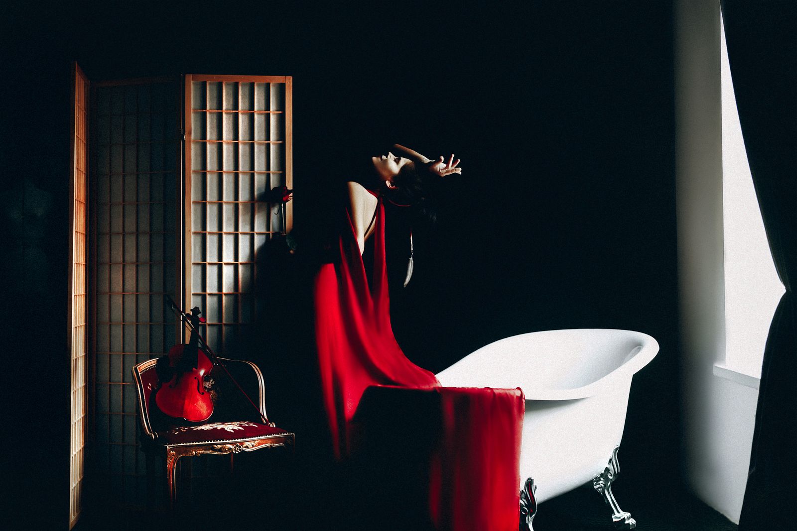 Poster - Red Elegance
