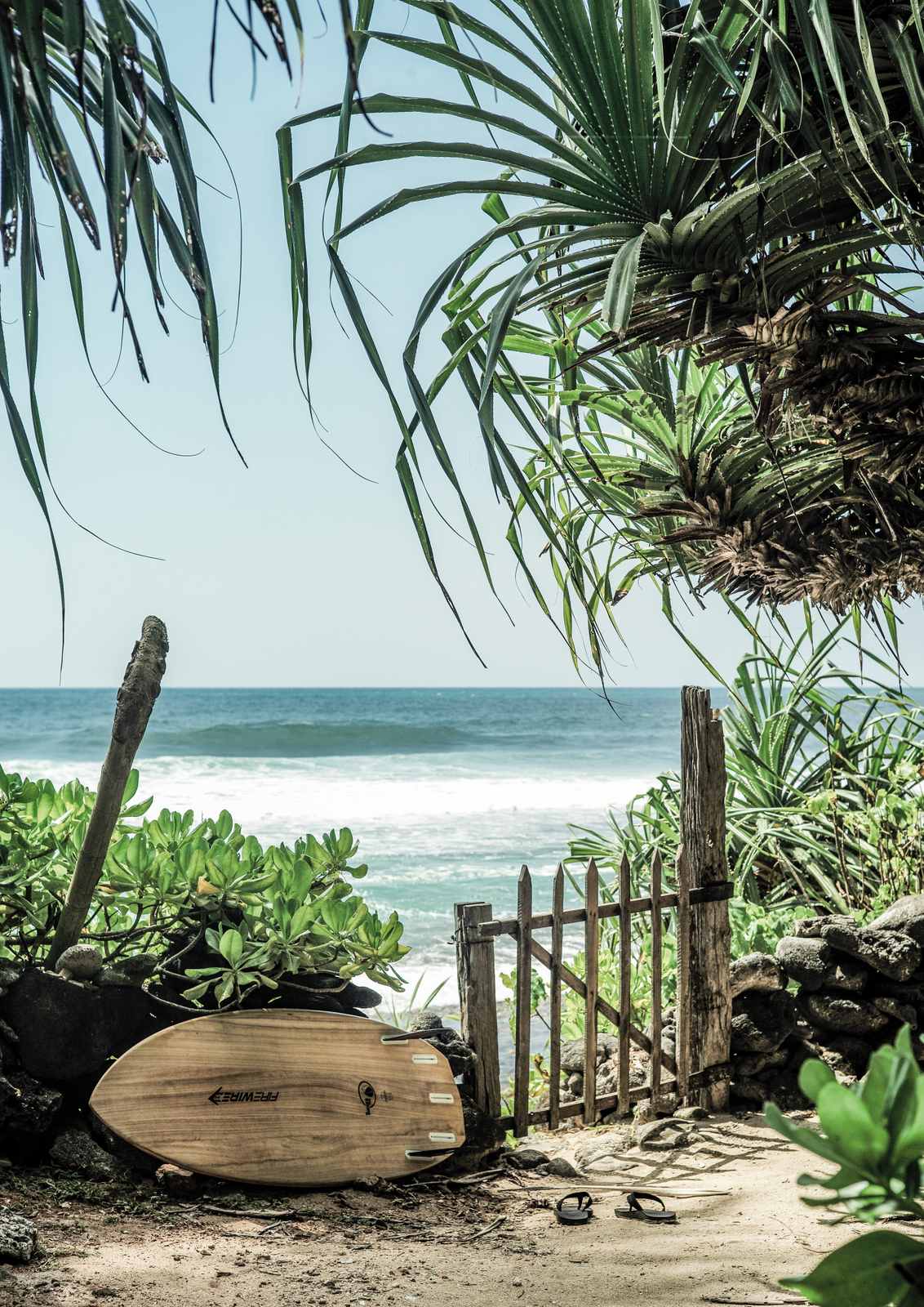 Poster - Tropical Beach Scene