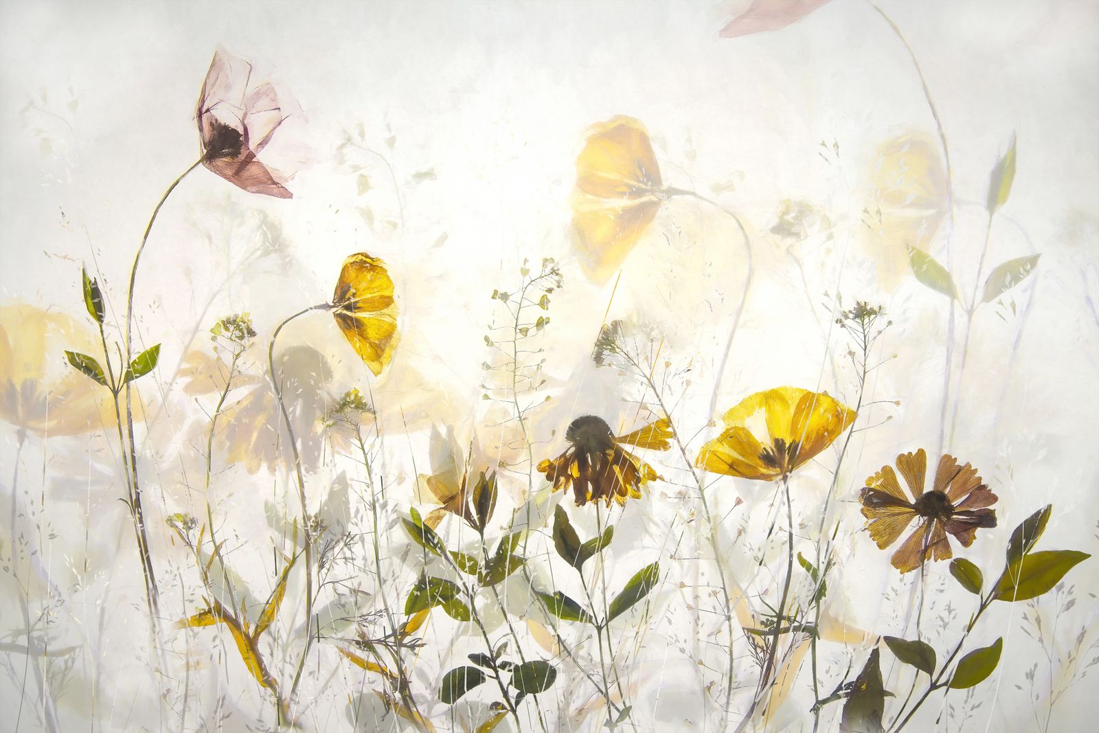 Poster - Botanical Floral Art